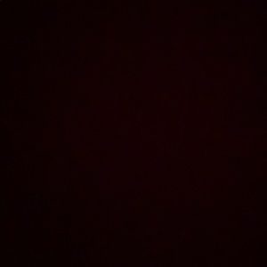 Meet your Posher, Abigail